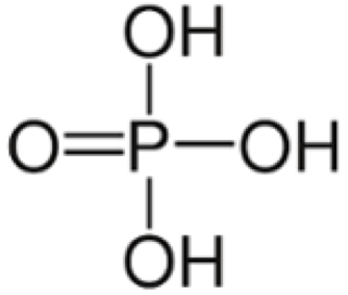 Clasificacion de los antioxidantes alimentarios antioxidantes secundarios INTERIOR 3 Clasificacion de los antioxidantes alimentarios antioxidantes secundarios INTERIOR 3