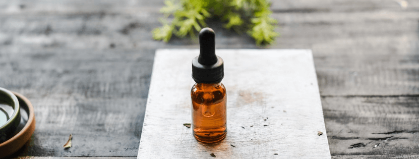 Propiedades usos y proteccion antioxidante del aceite de nuez de macadamia en cosmetica Propiedades usos y proteccion antioxidante del aceite de nuez de macadamia en cosmetica