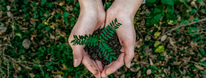 Upcycled ingredients Upcycled ingredients