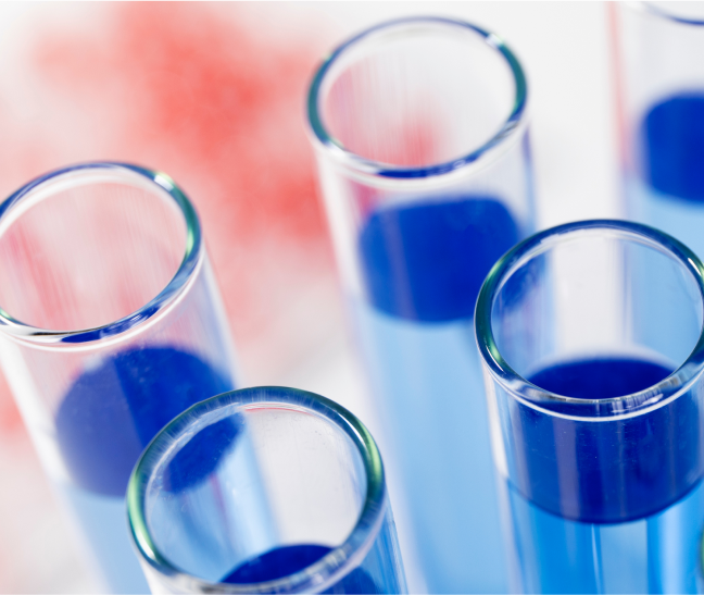 img mockup foll tocobiol 9